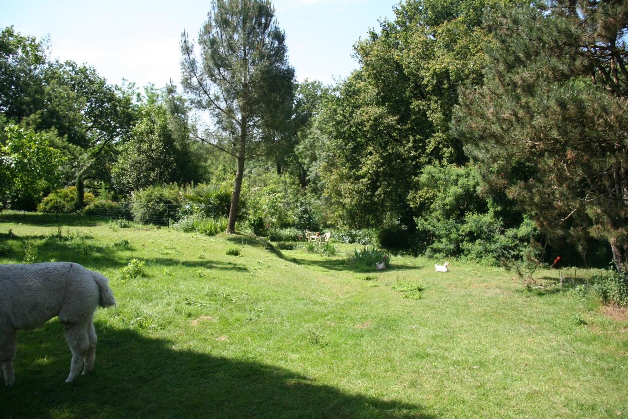Une Chambre A La Campagne Basse-Goulaine ภายนอก รูปภาพ